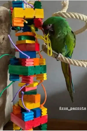 Superprijs Zoo-Max Hercule XL (107 cm!)