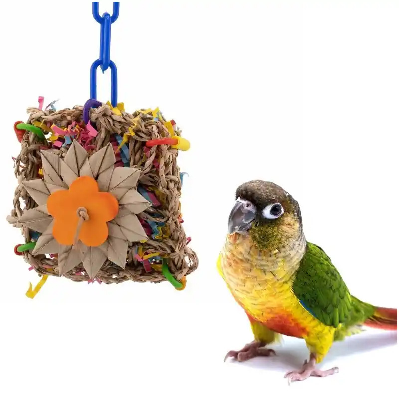 Laatste Kans Super Bird Creations Seagrass Sandwich