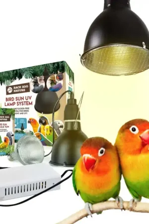Back Zoo Nature Bird Sun UV-Lamp System + 35W Lamp SET Actieprijs