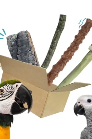 Vogel Zitstokken Pakket Large Koopje