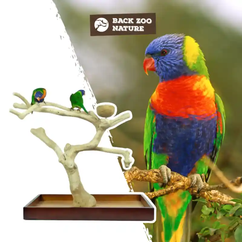 Superprijs Back Zoo Nature Java Tree Playstand + Plateau Premium Medium