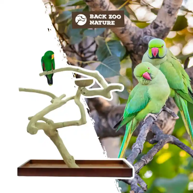 Back Zoo Nature Java Tree Playstand + Plateau Premium Large Beperkte Voorraad