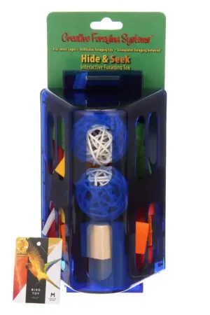 Betrouwbaar Creative Foraging Systems Hide & Seek