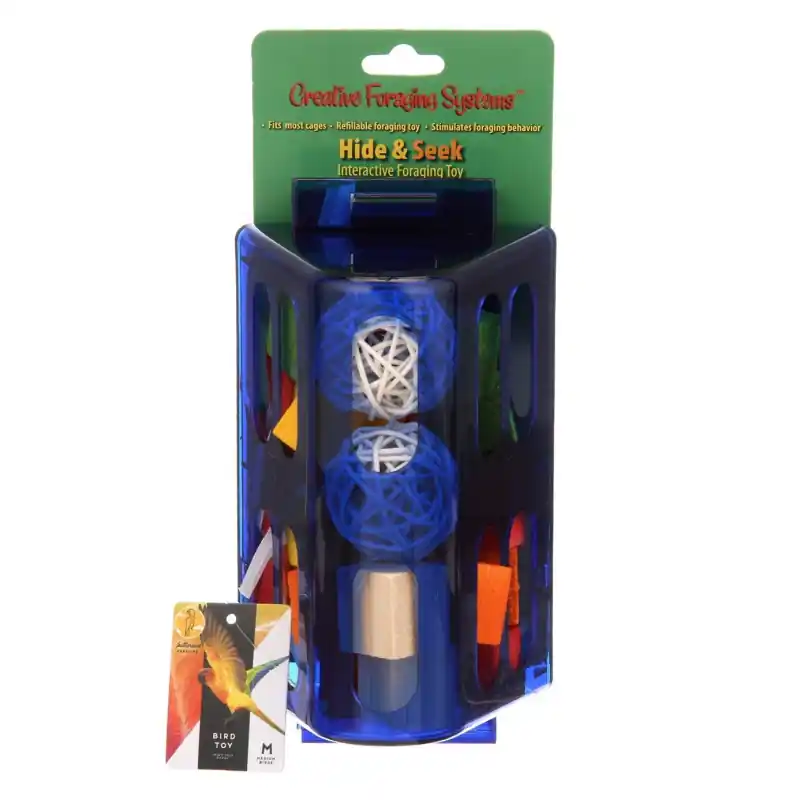 Betrouwbaar Creative Foraging Systems Hide & Seek