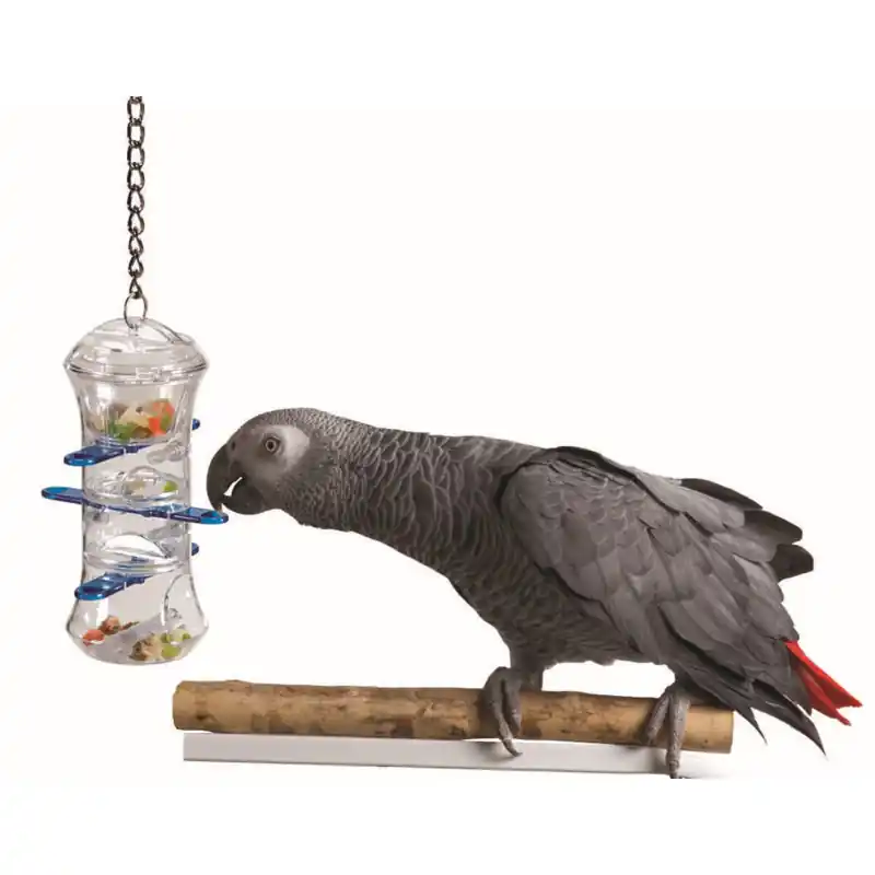 Dagaanbieding Creative Foraging Systems Push and Pull