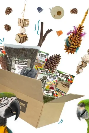 Superprijs Starterkit voor Papegaaien