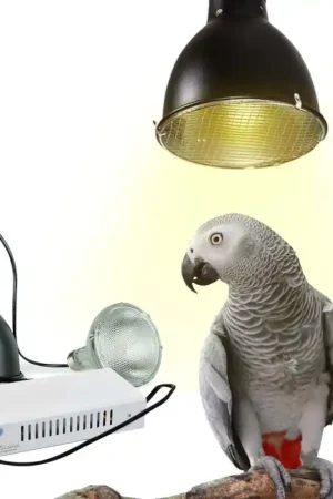 Speciale Aanbieding Back Zoo Nature Bird Sun UV-Lamp System + 70W Lamp SET