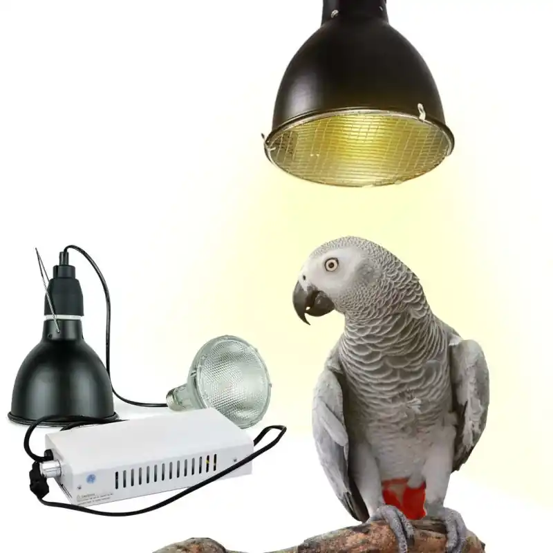 Speciale Aanbieding Back Zoo Nature Bird Sun UV-Lamp System + 70W Lamp SET