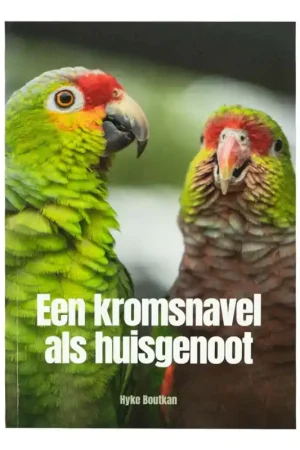 Koopje Een kromsnavel als huisgenoot