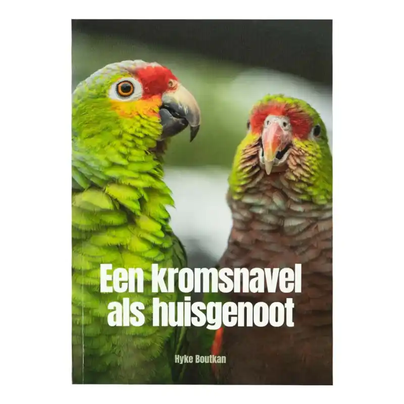 Koopje Een kromsnavel als huisgenoot