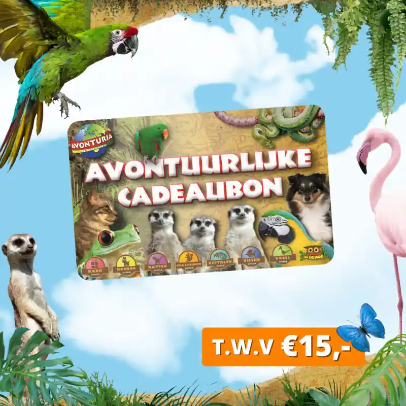 Avonturia Kadobon Cadeaubon t.w.v. 15 euro Populair