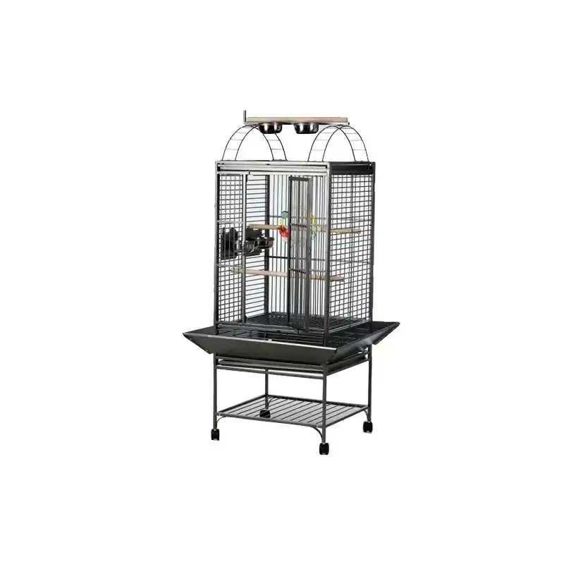 Papegaaienkooi Strong Sara Exclusieve Aanbieding
