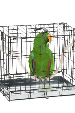 Beeztees Transportkooi Papegaai Shop Nu