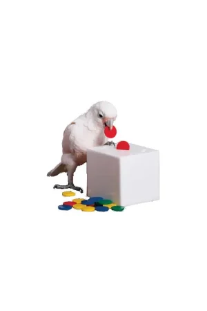 Zoo-Max Teach Box and Bank Medium Nieuw