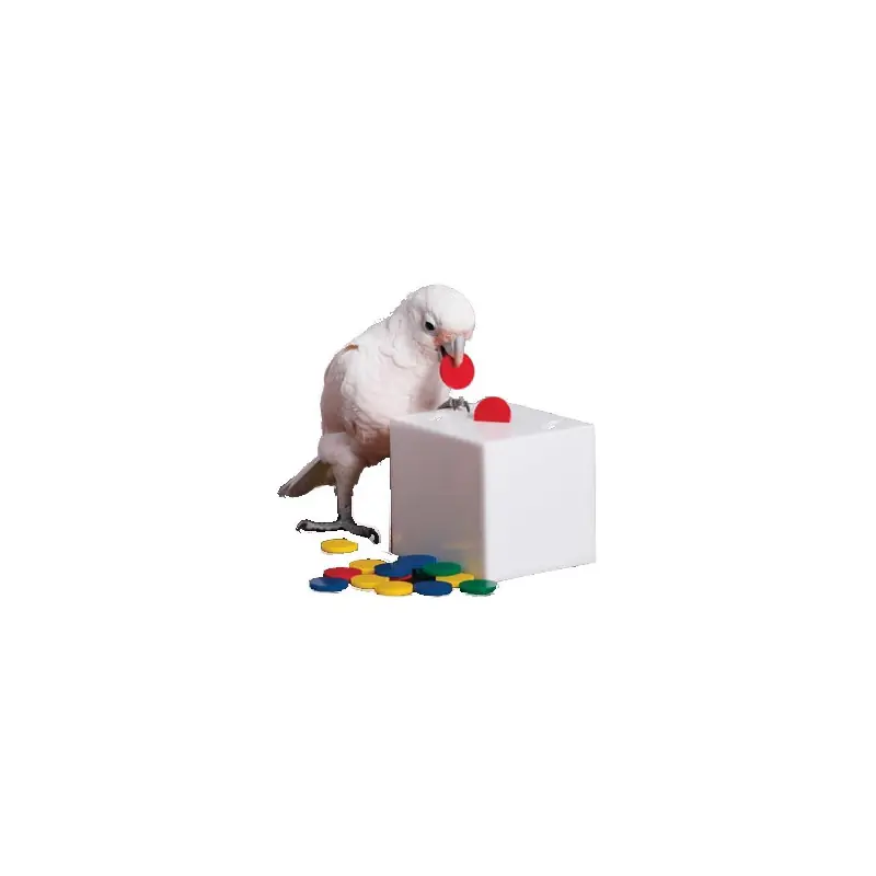 Zoo-Max Teach Box and Bank Medium Nieuw