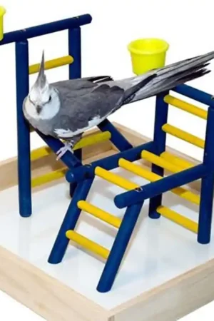 Korting Featherland Paradise Bird Playland with Cups Small