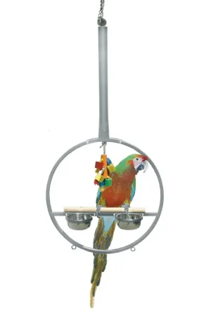 Montana Speelring - Platinum Betaalbaar