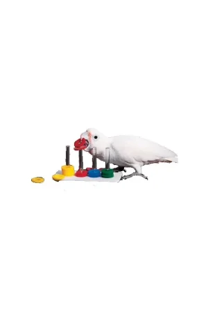 Veilige Betaling Zoo-Max Ring Games Medium