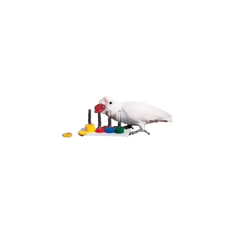 Veilige Betaling Zoo-Max Ring Games Medium