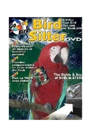 Bird Sitter DVD Beste Prijs
