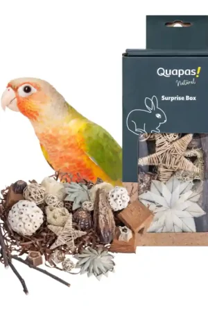 Quapas! Nibble Giftbox Stars en Balls Hete Deal