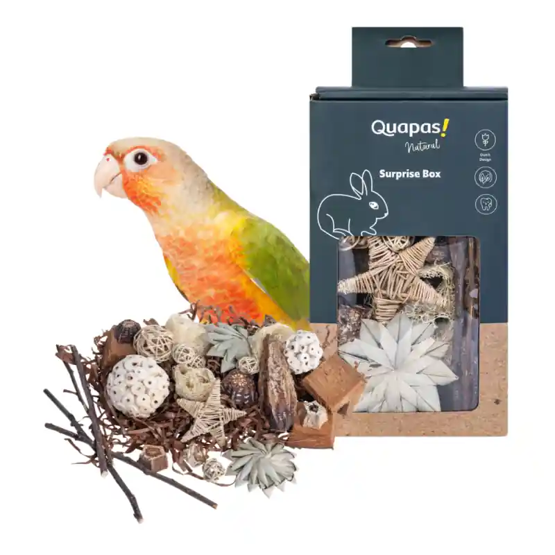Quapas! Nibble Giftbox Stars en Balls Hete Deal
