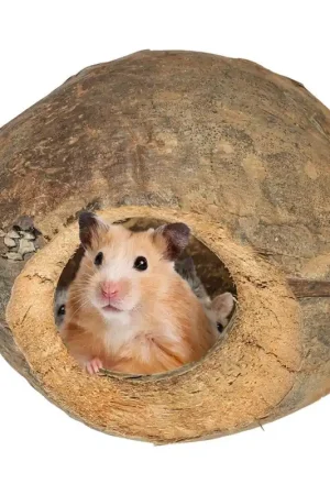 Superprijs Back Zoo Nature Coco Chill Cave