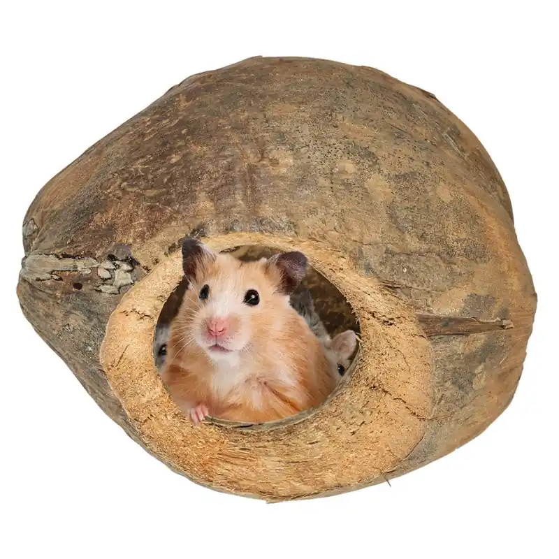 Superprijs Back Zoo Nature Coco Chill Cave