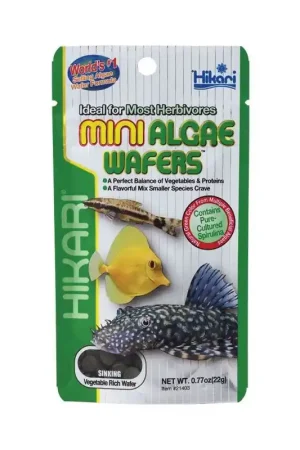 Aanbieding Hikari Mini Algae Wafers 85 gram