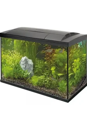 Populair SuperFish Start 100 Tropical Kit Zwart