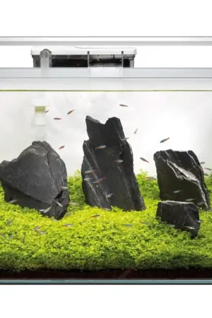 Merkproduct Superfish Scaper 60 Aquarium