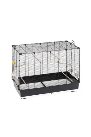 Meest Verkocht Ferplast Piano 8