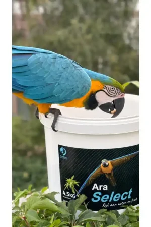 Must-Have Hareco Select Ara Zonder Pellets 3 kg