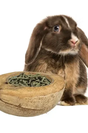 Weekendaanbieding Back Zoo Nature Coconut Feeding Bowl for Rodents