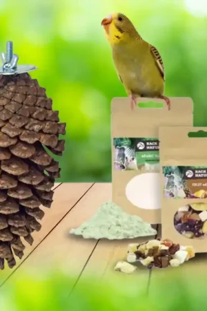 DIY Foerageer Kit - Foraging Pine Cone Op = Op