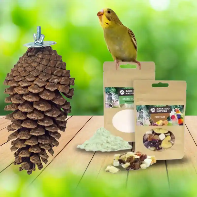 DIY Foerageer Kit - Foraging Pine Cone Op = Op