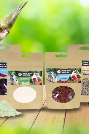 DIY Foerageer Kit - Bessen en Zaden Hete Deal