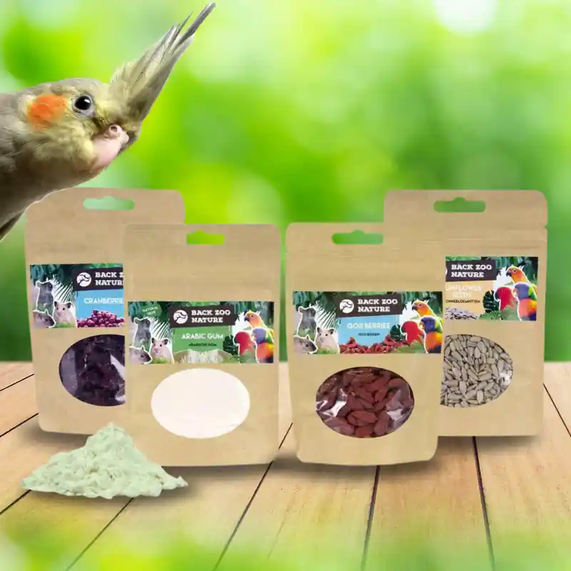 DIY Foerageer Kit - Bessen en Zaden Hete Deal