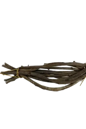 Flitsaanbieding Crazy Vine 25 - 35 cm 10 stuks