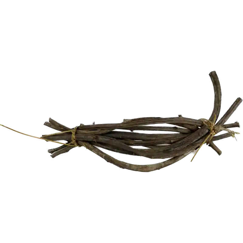 Flitsaanbieding Crazy Vine 25 - 35 cm 10 stuks