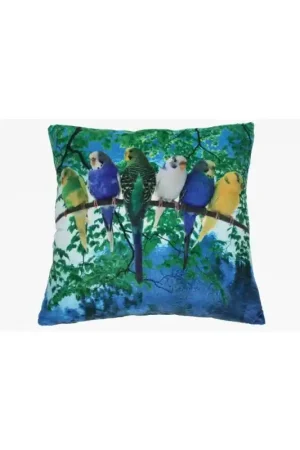 Pluche Kussen Parkieten 35x35cm Dagaanbieding