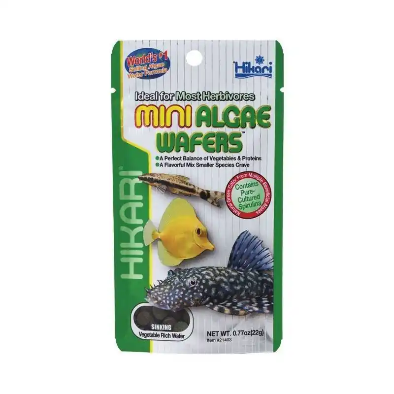 Hikari Mini Algae Wafers 1 kg Express Levering