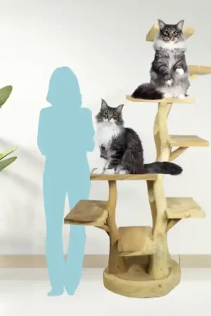 Back Zoo Nature Cat Tree Square Large Actieprijs