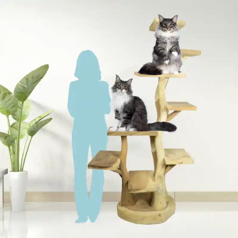 Back Zoo Nature Cat Tree Square Large Actieprijs