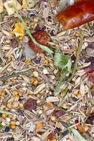 Laatste Kans Mixerama Rose Kaketoe Groente en Bessen 2,5kg