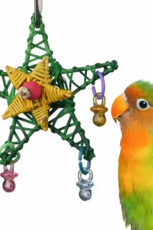Alleen Vandaag Christmas Star