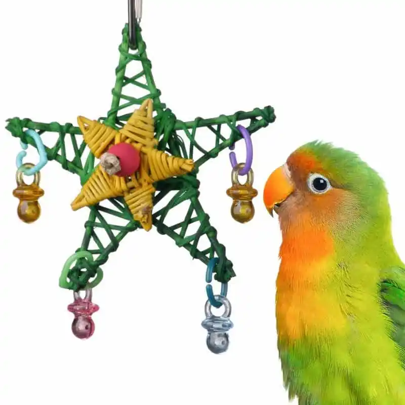 Alleen Vandaag Christmas Star