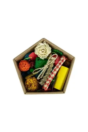 Petlala DIY Toy Gift Box Superprijs