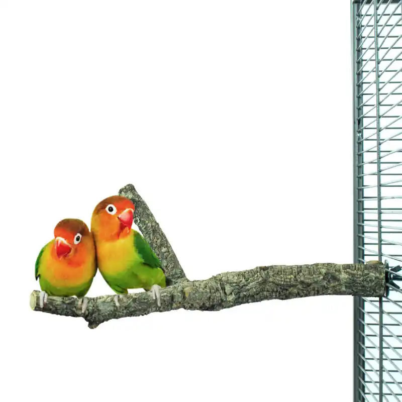 Snelle Levering Back Zoo Nature Corky Multi Perch Small