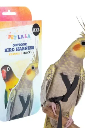 Express Levering Petlala Vogeltuigje XX-Small - 165 cm Zwart